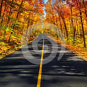 The Long Rural Autumn Road Corridor