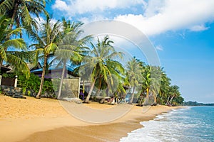 Long Samui MaeNam morning beach with coconut palms under sky. Happy vacation, relaxation, idyllic landscape