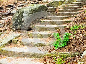 Long sandstone stairs in the forest, Kokorinsko, Czech Republic.
