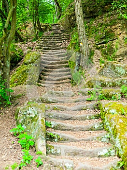 Long sandstone stairs in the forest, Mseno, Kokorinsko, Czech Republic.