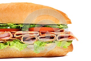 Long sandwich isolated