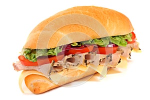 Long sandwich isolated on the white