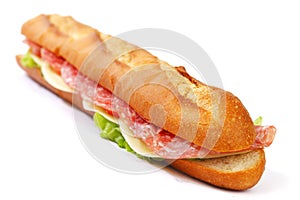 Long sandwich with salami tomatoes