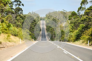 Long sealed road through subtropical forest