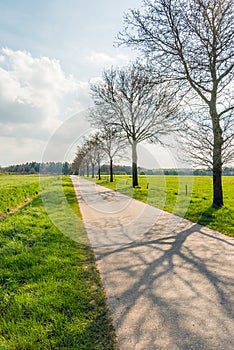 Long seemingly endless straight road in a flat landscape