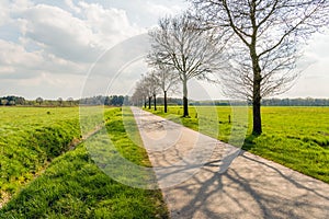 Long seemingly endless straight road in a flat landscape