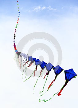 Long serial kites flying in the sky