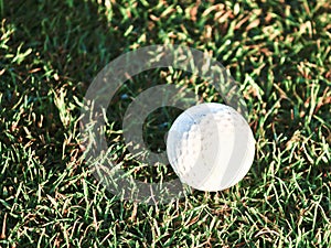 Long shadow on golf-ball on green grass at sunrise