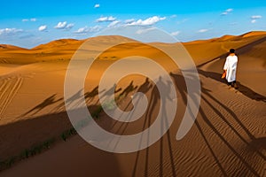 Long shadows of camel caravan, Erg Chebbi, Sahara desert, Merzouga, Morocco