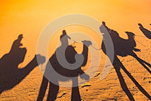 Long shadows of camel caravan, Erg Chebbi, Sahara desert, Merzouga, Morocco