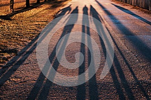 Long shadows from a group of people who walk in the evening in t