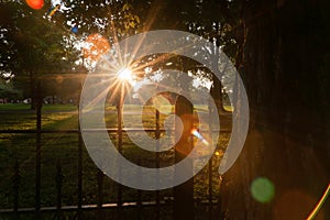 Long shadows on La Fayette Park with lens flare aged photo effect at sunset  St Louis Missouri USA