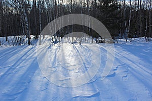 Long shadows from the late afternoon sun cast on the spotless snow in wintertime.