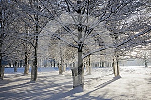 Long shadows in the morning time