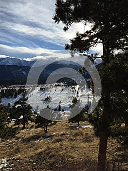 Long shadows,trees, and clouds over snow capped mountain peaks.