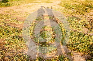 Long shadows of two people taking photos standing on grass lawn