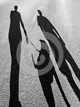 The long shadows of two people walking a dog