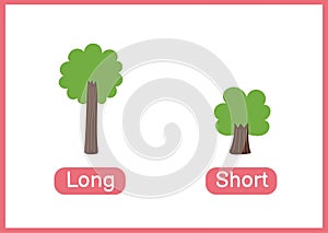 Long and short opposite adjectives educational flashcard. Flashcard with trees for school and preschool