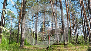 Long shot of rusty carousel in a pine forest