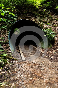 Long shot of a tunnel through the woods with old tracks