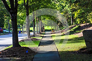 A long smooth sidewalk surrounded by lush green grass and lush green trees on a residential street in South Fulton