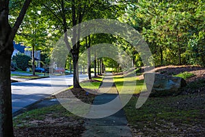 A long smooth sidewalk surrounded by lush green grass and lush green trees on a residential street in South Fulton