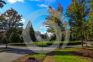 A long smooth sidewalk surrounded by lush green grass and lush green trees on a residential street in South Fulton