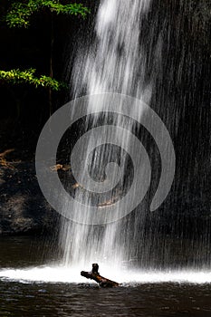 Long speed shutter technique of splashing waterfall drop on pond with dark scene