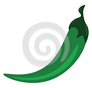 A long spicy green pepper used to a=make a spicy dish vector color drawing or illustration