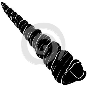 Long spiral seashell silhouette
