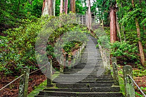 Long staircase going upwards in forest, Japan