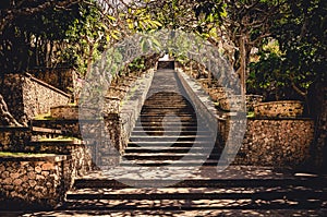 Long staircase with trees on either side forming a tunnel. Asian garden with tall stairs. Bali. 2022