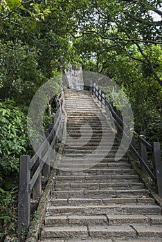 Stairs to clime up the mountain photo