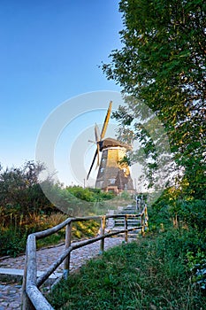 Long stairs between the trees to the Dutch windmill on Usedom. Germany