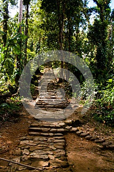 Long stairway to reach the lost city photo