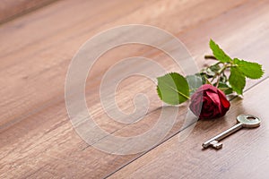 Long Stemmed Red Rose and Key on Wooden Surface