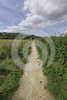 Long straight country path on a summers day leading to the woods in East Anglia in England photo