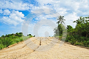 A long, straight dirt road disappears landscape.