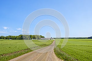 Long straight dirt road in a rural landscape with a farm
