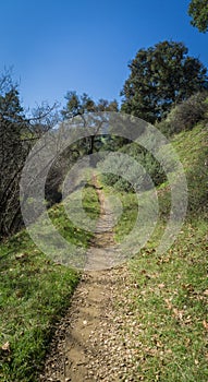 Long Straight Dirt Walking Trail