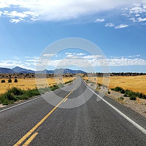 Long straight distance on the rural road photo