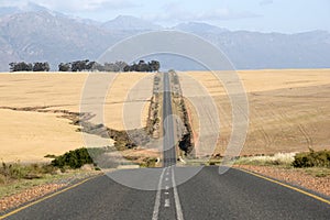 Long straight highway South Africa photo