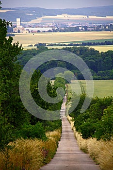 Long straight road by field in czech countryside