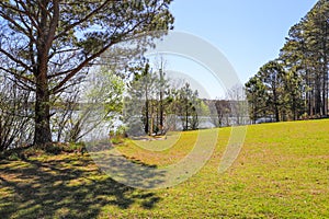 A long stretch of lush green grass near a vast blue lake with lush green trees and plants on the banks of the lake