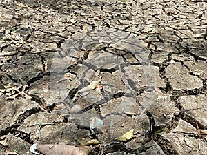 Long summer heat make a dried land