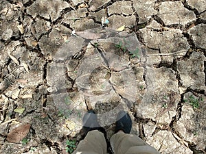 Long summer heat make a dried land