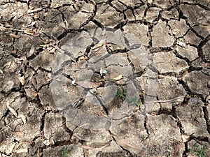 Long summer heat make a dried land