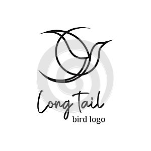 Long tail bird logo