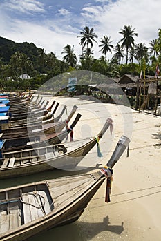 Long Tail Boats along Beach