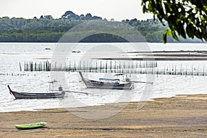 Long-tail boats at low tide, Phang-Nga Bay, Thailand